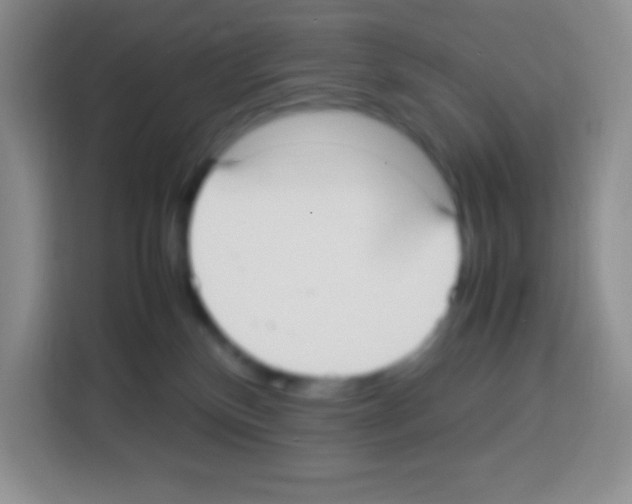 X0000113030136200910081228