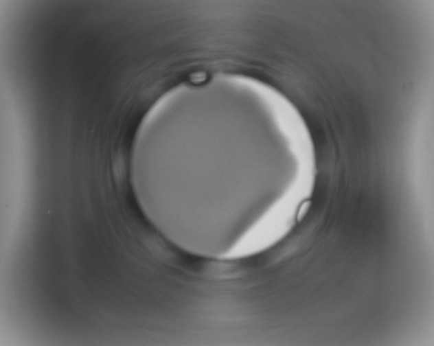 X0000113030139200910081227