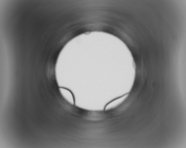 X0000113030141200910081227