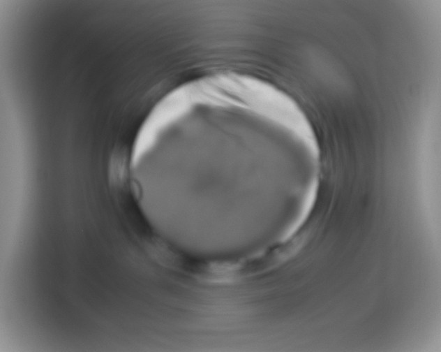 X0000113030143200910081227