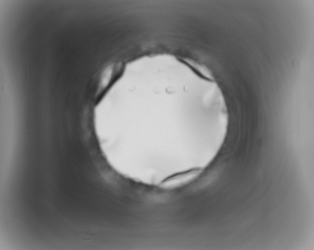 X0000113030144200910081227
