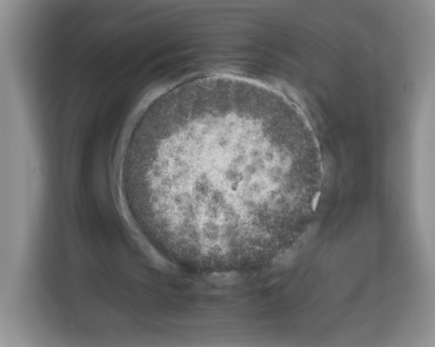 X0000113030145200910081227