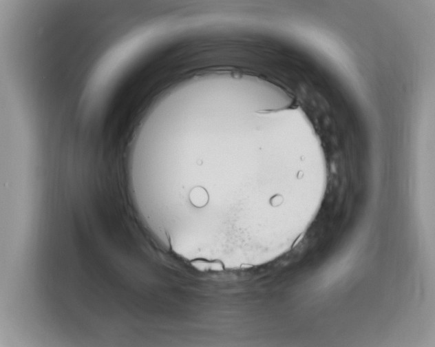 X0000113030146200910081227