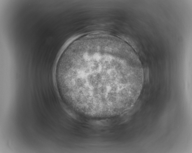 X0000113030147200910081227