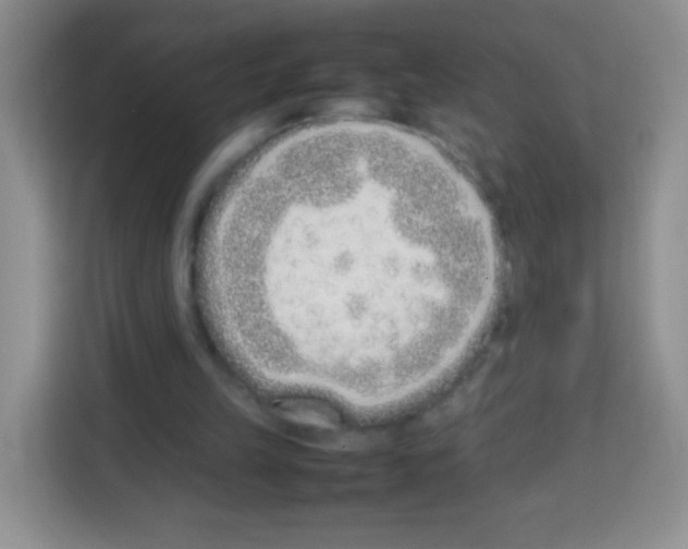 X0000113030149200910081227