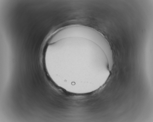 X0000113030150200910081227