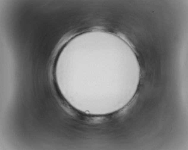 X0000113030151200910081227
