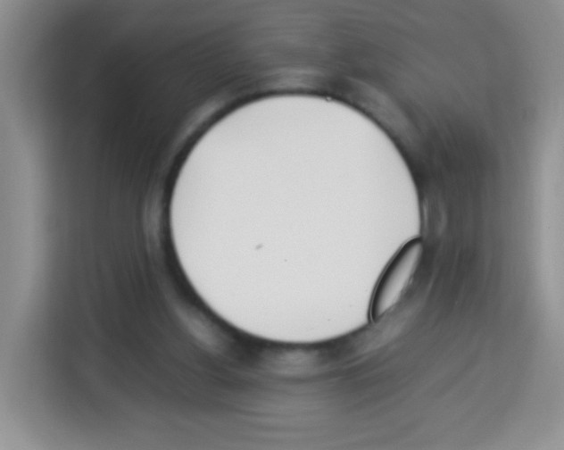 X0000113030156200910081227