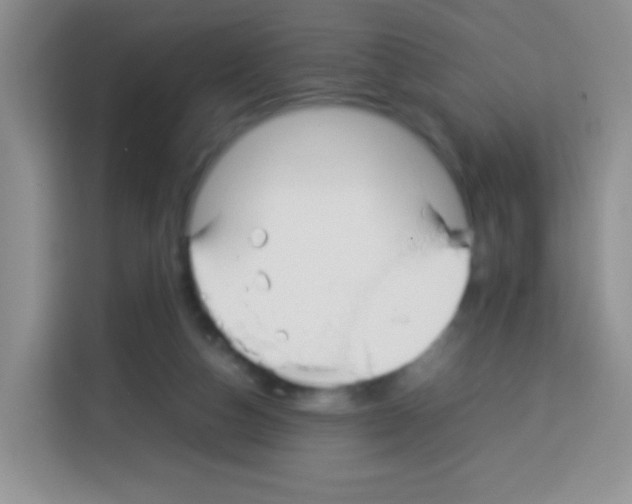 X0000113030162200910081227