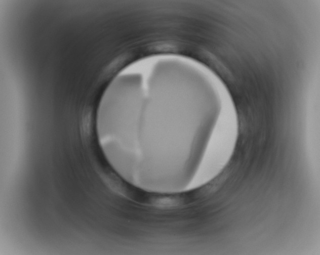 X0000113030163200910081227