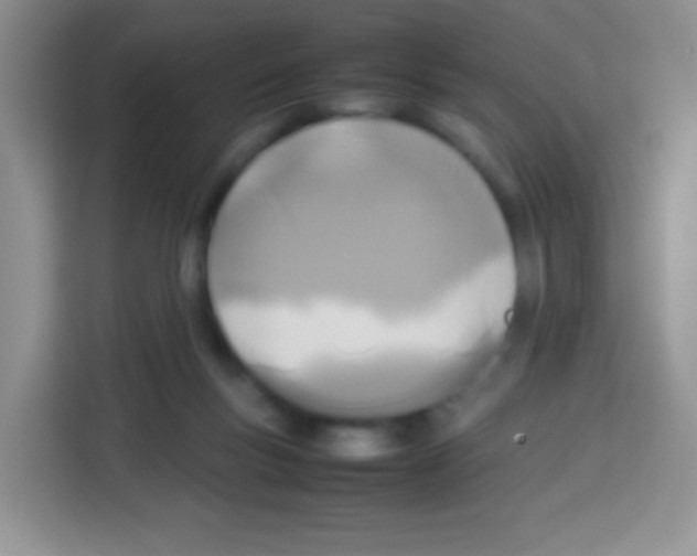 X0000113030167200910081227