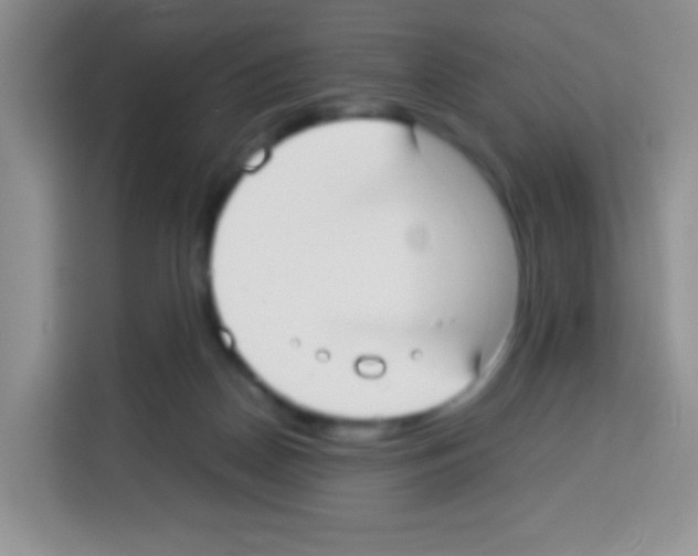 X0000113030170200910081227