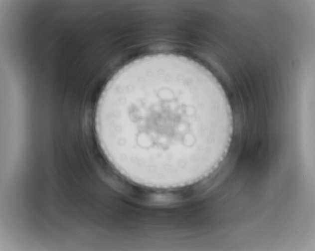 X0000113030171200910081227