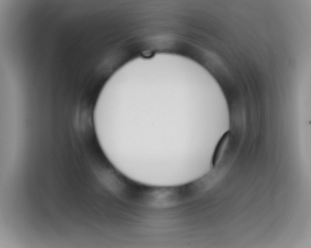 X0000113030172200910081227