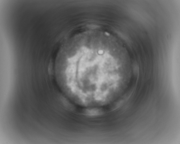 X0000113030181200910081227
