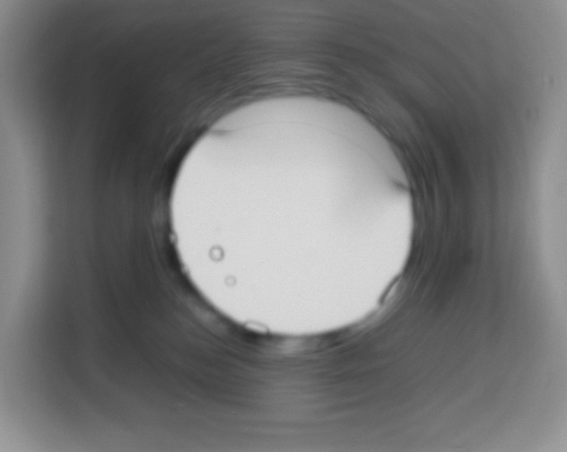 X0000113030184200910081227