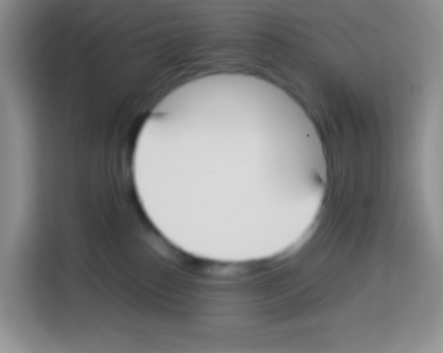 X0000113030186200910081227
