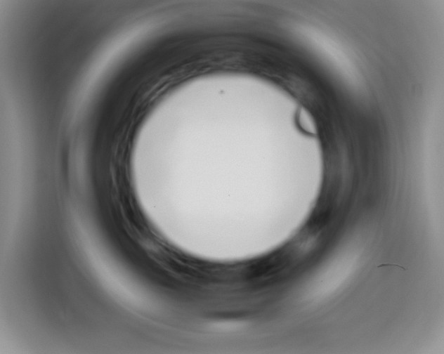 X0000113030189200910081227