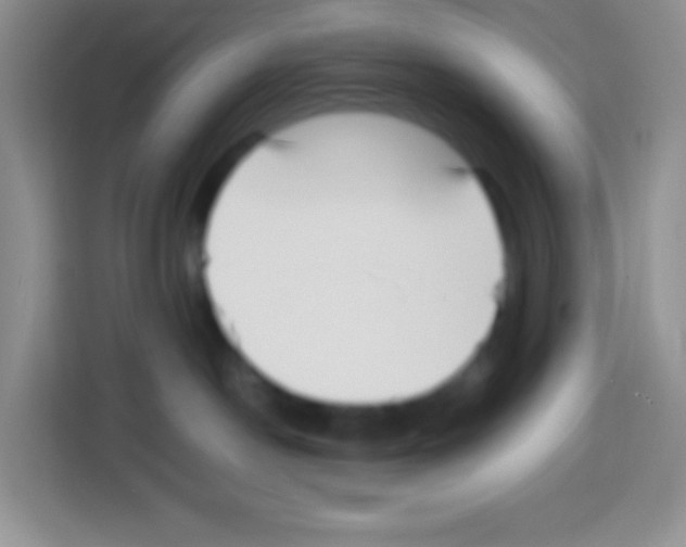 X0000113030190200910081227