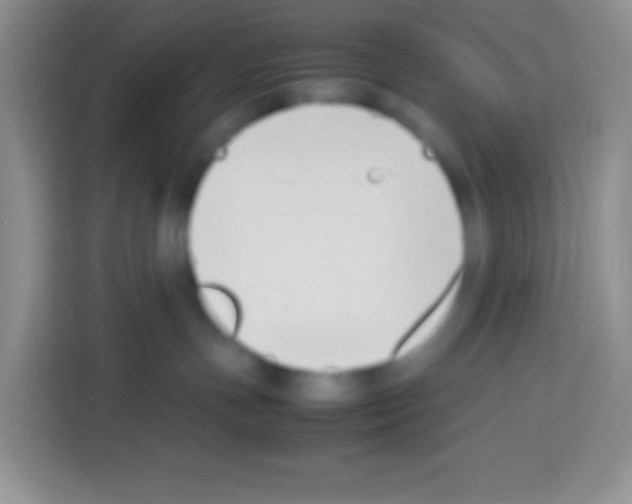 X0000113030191200910081227