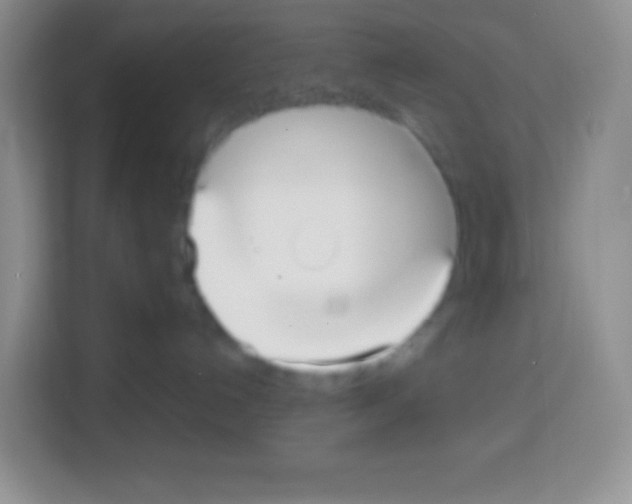 X0000113030192200910081227