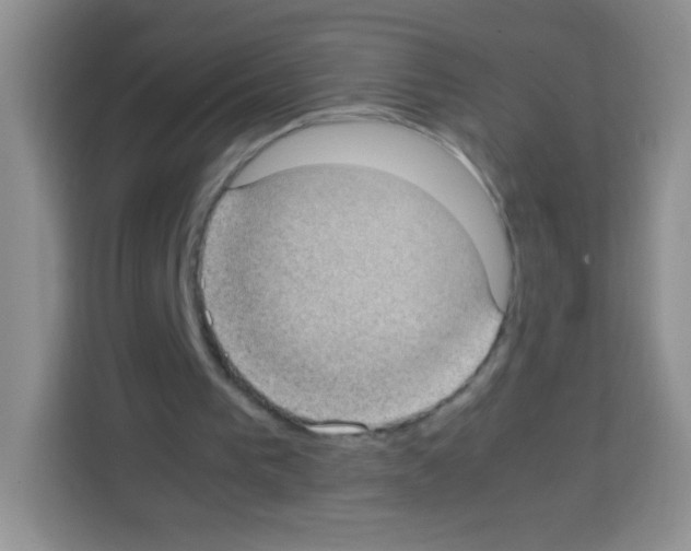 X0000113030193200910081227