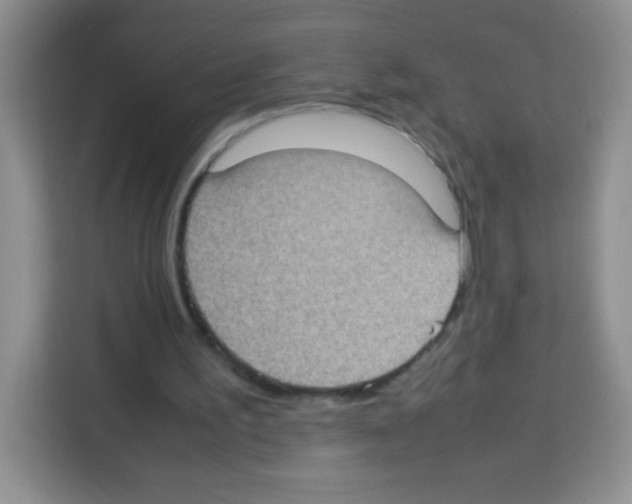 X0000113030195200910081227