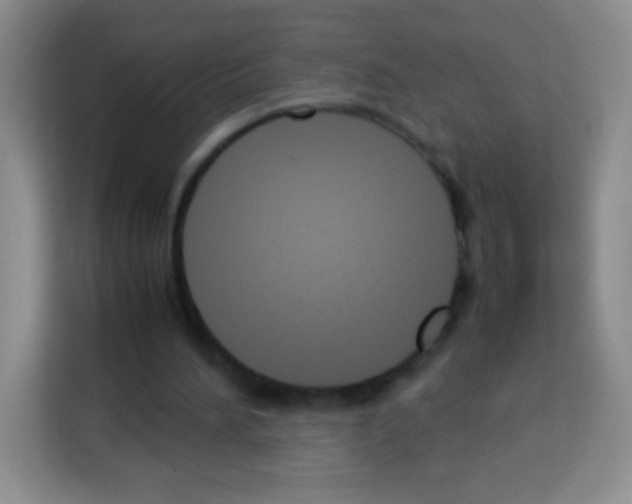 X0000113030196200910081227