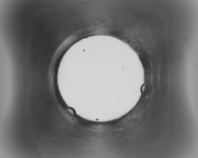 X0000113030197200910081227