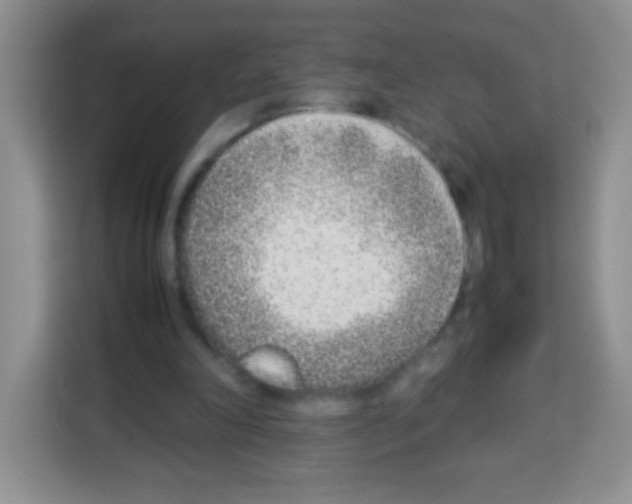 X0000113030198200910081227