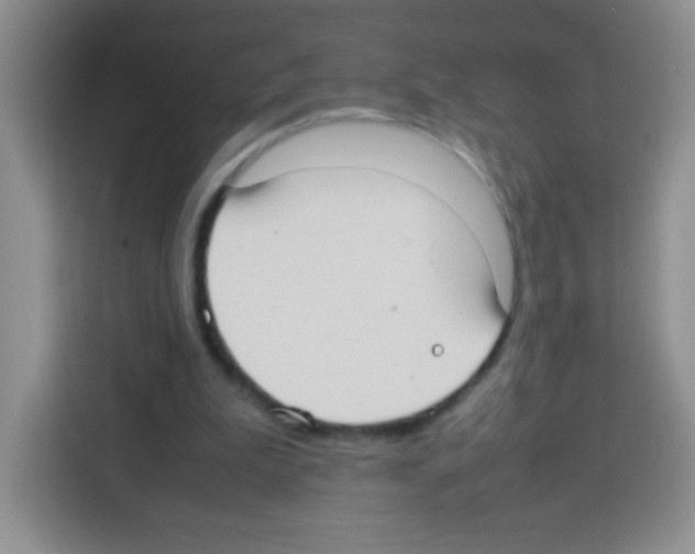X0000113030199200910081227