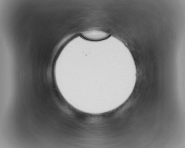 X0000113030200200910081227