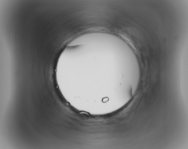 X0000113030201200910081227