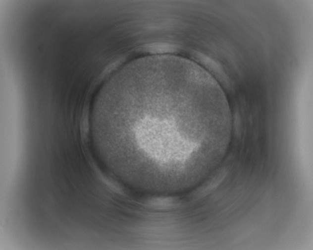 X0000113030202200910081227