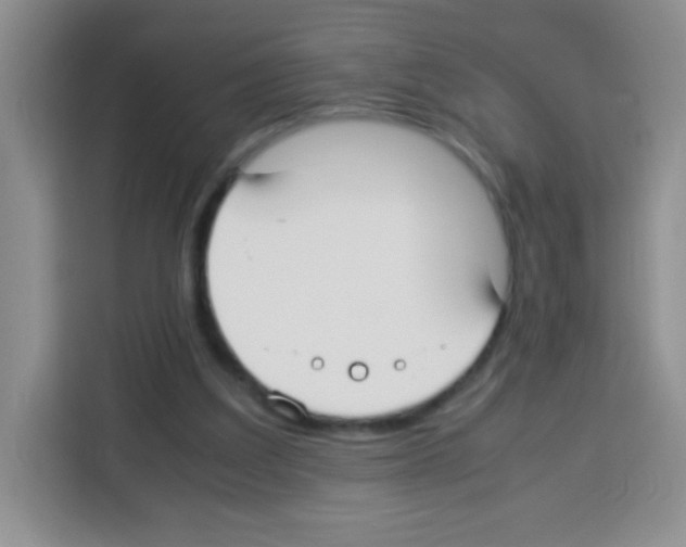X0000113030203200910081227