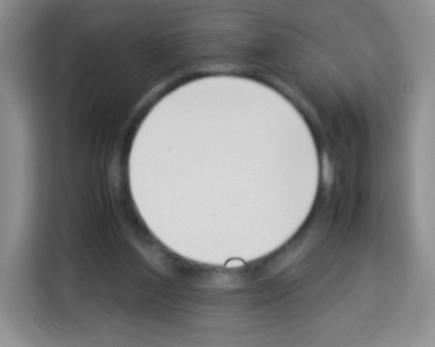 X0000113030204200910081227