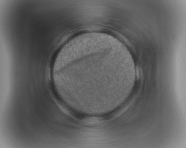 X0000113030205200910081227