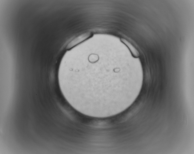 X0000113030208200910081227