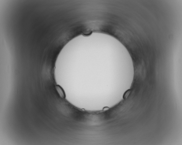 X0000113030209200910081227