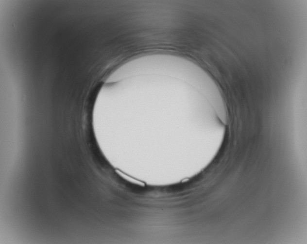 X0000113030211200910081227