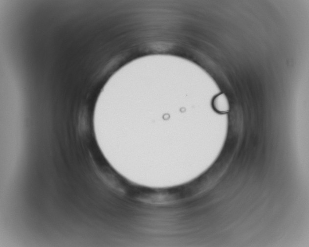 X0000113030212200910081227