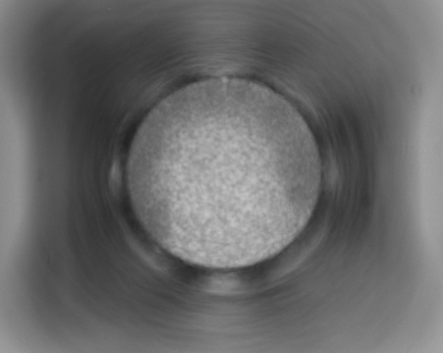 X0000113030214200910081227