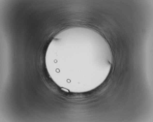 X0000113030215200910081227
