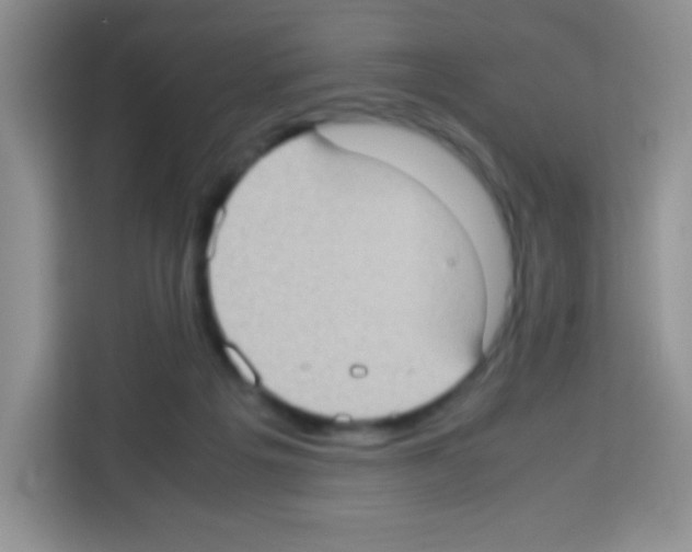 X0000113030217200910081226