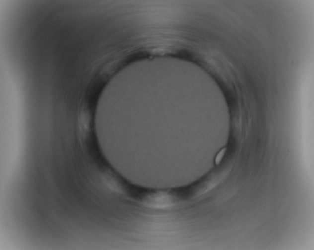X0000113030219200910081226