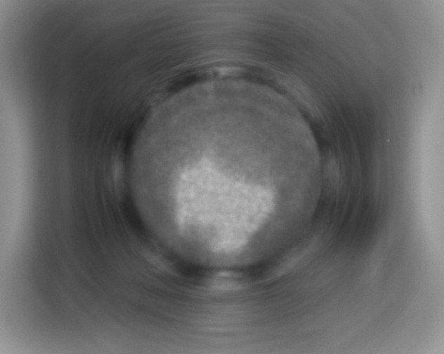 X0000113030222200910081226