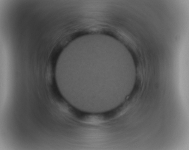 X0000113030223200910081226