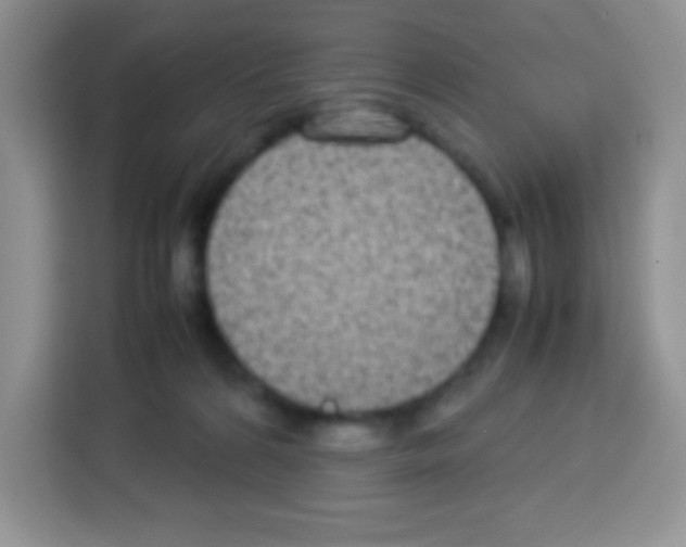 X0000113030224200910081226