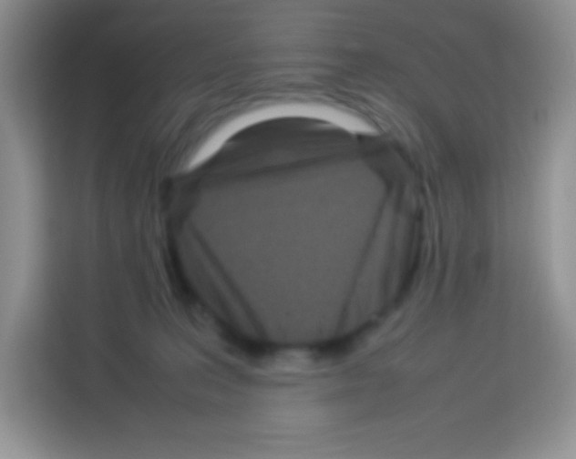 X0000113030227200910081226