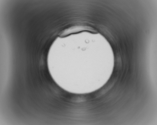 X0000113030228200910081226